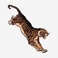 Jumping tiger illustration. Free public domain CC0 image.