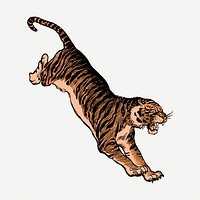 Jumping tiger vintage clipart, wildlife illustration psd. Free public domain CC0 image.