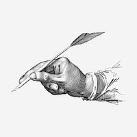 Quill writing  hand drawn illustration. Free public domain CC0 image.
