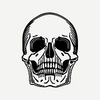 Skull drawing clipart, death illustration psd. Free public domain CC0 image.