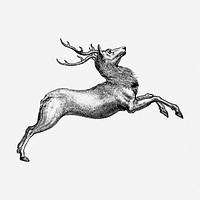 Leaping reindeer hand drawn illustration. Free public domain CC0 image.