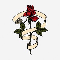 Red rose and roll illustration. Free public domain CC0 image.