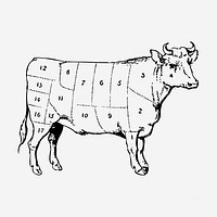 Beef diagram hand drawn illustration. Free public domain CC0 image.