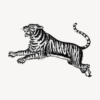 Jumping tiger hand drawn clipart, wildlife illustration vector. Free public domain CC0 image.