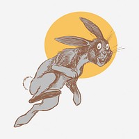 Rabbit and moon vintage illustration. Free public domain CC0 image.