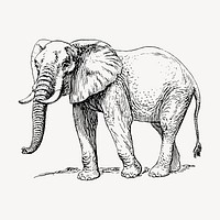 Elephant hand drawn clipart, animal illustration vector. Free public domain CC0 image.