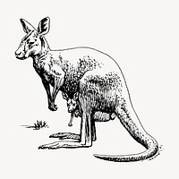 Kangaroo hand drawn clipart, animal illustration vector. Free public domain CC0 image.