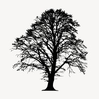 Alder tree  silhouette clipart, botanical illustration in black vector. Free public domain CC0 image.