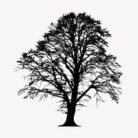 Alder tree  silhouette collage element, botanical illustration psd. Free public domain CC0 image.