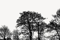 Trees silhouette, nature border background vector. Free public domain CC0 image.