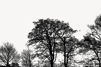Trees silhouette, nature border background psd. Free public domain CC0 image.