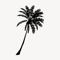 Palm tree silhouette clipart, botanical illustration in black. Free public domain CC0 image.