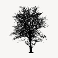 Leafless tree silhouette clipart, nature illustration in black vector. Free public domain CC0 image.