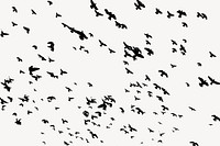 Flying birds silhouette background, animal illustration vector. Free public domain CC0 image.