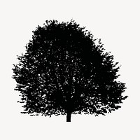 Deciduous tree silhouette clipart, nature illustration in black vector. Free public domain CC0 image.