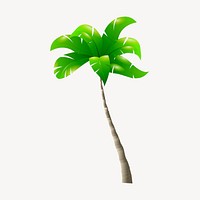 Palm tree clipart, botanical illustration. Free public domain CC0 image.