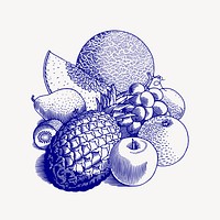 Blue fruits clipart, food illustration vector. Free public domain CC0 image.