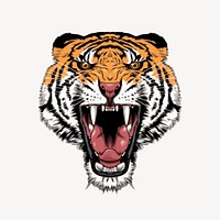 Tiger clipart, wildlife illustration vector. Free public domain CC0 image.