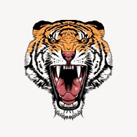 Tiger sticker, wildlife illustration psd. Free public domain CC0 image.