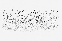 Flying birds, abstract white background. Free public domain CC0 image.