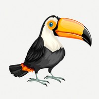 Toucan bird clipart, collage element illustration psd. Free public domain CC0 image.