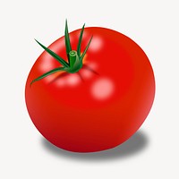 Realistic tomato clipart, food illustration vector. Free public domain CC0 image.