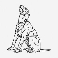 Howling dog drawing, animal vintage illustration. Free public domain CC0 image.