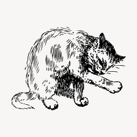 Cat drawing, vintage animal illustration vector. Free public domain CC0 image.
