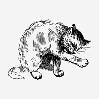 Cat drawing, animal vintage illustration. Free public domain CC0 image.