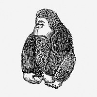 Gorilla drawing, animal vintage illustration. Free public domain CC0 image.