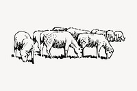 Sheep drawing, vintage livestock animal illustration vector. Free public domain CC0 image.