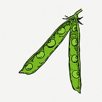 Sugar snap peas sticker, vegetable vintage illustration psd. Free public domain CC0 image.