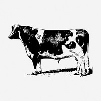 Cow drawing, farm animal illustration. Free public domain CC0 image.