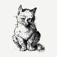 Sitting kitten drawing, animal vintage illustration psd. Free public domain CC0 image.