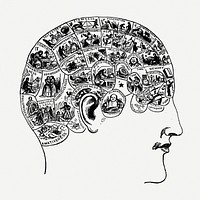 Phrenology brain drawing, head vintage illustration psd. Free public domain CC0 image.