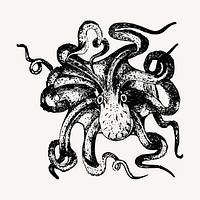 Octopus drawing, vintage sea life illustration vector. Free public domain CC0 image.