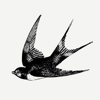Swallow bird drawing, animal vintage illustration psd. Free public domain CC0 image.