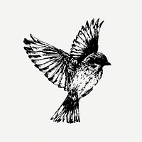 Sparrow bird drawing, animal vintage illustration psd. Free public domain CC0 image.