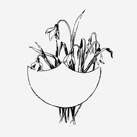 Snowdrop flower frame drawing, vintage illustration. Free public domain CC0 image.