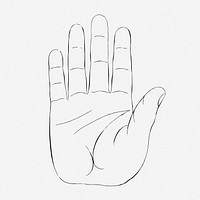 Palm hand drawing, vintage body part illustration. Free public domain CC0 image.