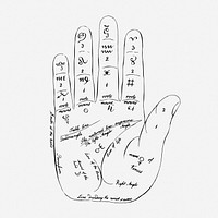 Palmistry hand drawing, vintage fortune-telling illustration. Free public domain CC0 image.