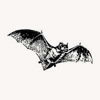 Flying bat clipart, vintage wildlife illustration vector. Free public domain CC0 image.