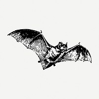 Flying bat drawing, wildlife vintage illustration psd. Free public domain CC0 image.