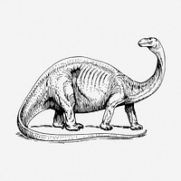 Long neck dinosaur drawing, vintage extinct animal illustration. Free public domain CC0 image.