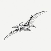 Flying dinosaur drawing, extinct animal vintage illustration psd. Free public domain CC0 image.