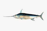 Swordfish clipart, vintage sea animal illustration vector. Free public domain CC0 image.