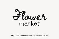 Beth Ellen & Grandstander open source font by Rob Jelinski, Alyson Fraser Diaz, Tyler Finck, ETC