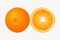 Orange, fruit clip art color illustration. Free public domain CC0 image.