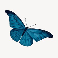 Blue butterfly clipart, illustration vector. Free public domain CC0 image.