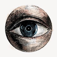 Observing eye watercolor sticker, vintage illustration vector
